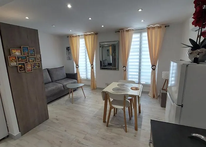 Lumineux Avec Parking Proche Monaco, Nice, Et Gare Menton